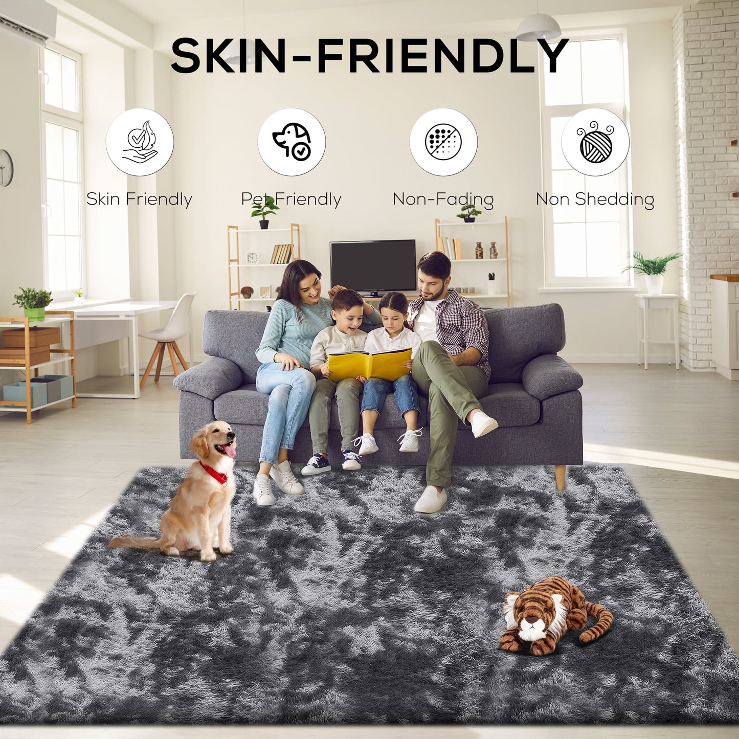 CozyDesg 5ft x 8ft Area Rugs, Soft Fluffy Area Rugs Floor Mat Floor Rugs for Living Room Bedroom Modern Decor Carpet, Dark Gray