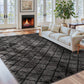 CozyDesg Shag Area Rugs,4'x6' Soft Fluffy Shaggy Carpet for Living Room,Large Rug for Bedroom Dining Room Home Decor Room Decor,Black & White