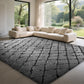 CozyDesg Shag Area Rugs,4'x6' Soft Fluffy Shaggy Carpet for Living Room,Large Rug for Bedroom Dining Room Home Decor Room Decor,Black & White