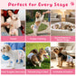 Zoolike Disposable Female Dog Diapers, Small Dog Diapers Female with Super-Absorbent, Leakproof&Breathable, 50 Count