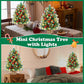 Yexmas 2PCS Pre-lit Artificial Mini Christmas Tree,24 Inch Small Tabletop Xmas Tree for Indoor Outdoor Christmas Decor