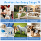 Zoolike Disposable Male Dog Diapers, Small Male Dog Wraps with Super-Absorbent,LeakProof&Wetness Indicator, 50 Count