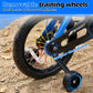 Enjoyrun 14" Kids Bike,Bike for Boys and Girls with Training Wheels,Children's Bicycles for Ages 3–7,Blue