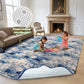 Cozydesg 4ftx6ft Large Area Rugs,Shag Fluffy Rugs for Living Room Bedroom, Modern Indoor Floor Rugs Soft Carpet Home Decro,Light Blue