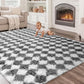 CozyDesg Large Rugs,4'x6' Soft Fluffy Shag Indoor Floor Carpet for Living Room Bedroom Dining Room Office Home Decor,Dark Gray & White