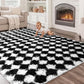 CozyDesg Large Rugs,4'x6' Soft Fluffy Shag Indoor Floor Carpet for Living Room Bedroom Dining Room Office Home Decor,Dark Gray & White