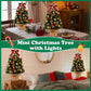 Yexmas 2PCS Pre-lit Artificial Mini Christmas Tree,24 Inch Small Tabletop Xmas Tree for Indoor Outdoor Christmas Decor