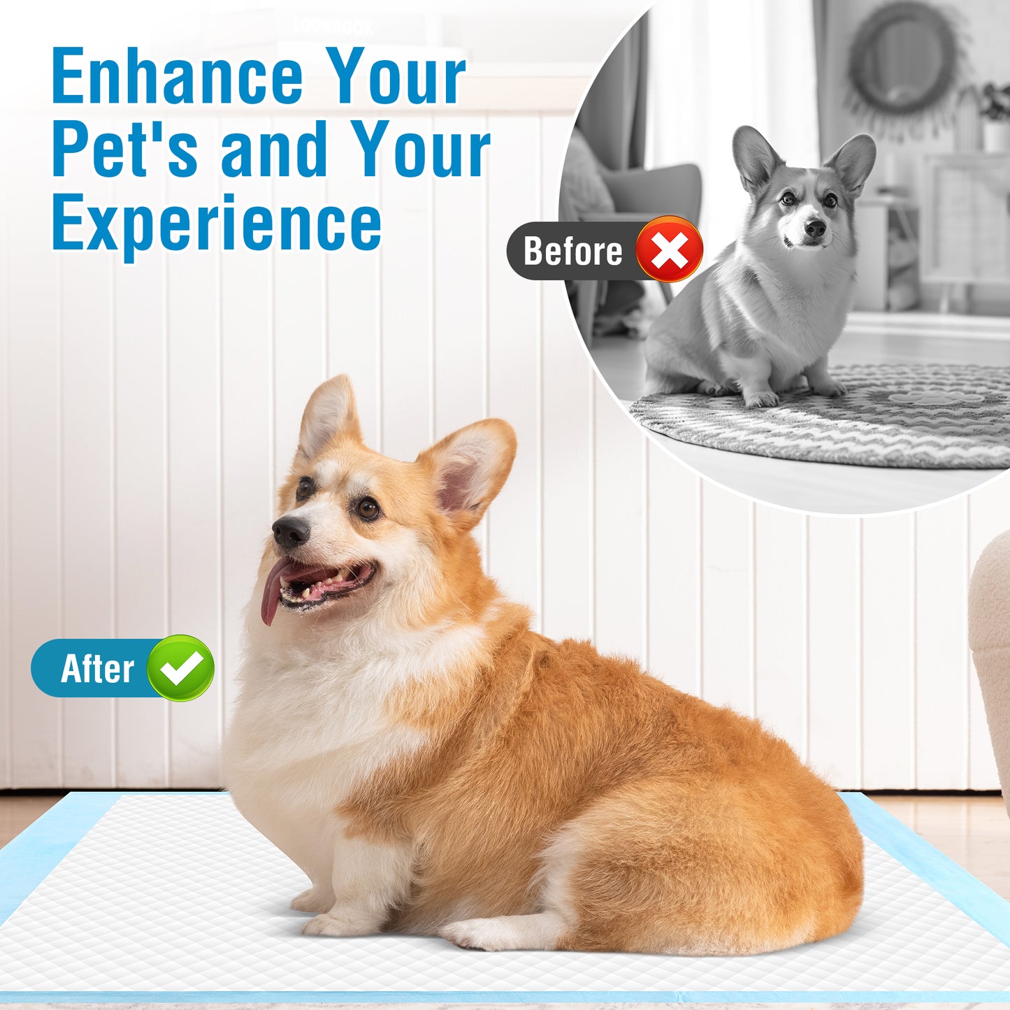 Zoolike XXL Dog Pads Dog Training Pads, Disposable Dog Pee Pads,30"x 36", 100 COUNT