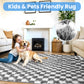 CozyDesg Large Rugs,4'x6' Soft Fluffy Shag Indoor Floor Carpet for Living Room Bedroom Dining Room Office Home Decor,Dark Gray & White
