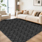 CozyDesg Area Rugs for Living Room，Black Rugs Shag Fluffy Shaggy Bedside Carpet, Large rug for Living Room Bedroom Dining Room Office Home Decor