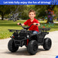 Yexmas 24V Kids ATV,Electric ATV for Kids 4 Wheelers Quad Car Toy, Ride On Toy Car As Gift for Kids,Black