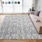 Cozydesg 4ftx6ft Large Area Rugs,Shag Fluffy Rugs for Living Room Bedroom, Modern Indoor Floor Rugs Soft Carpet Home Decro,Light Blue