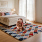 CozyDesg 4ftx6ft Area Rugs,Shag Fluffy Checkered Rugs for Living Room,Bedroom,Modern Room Decor Carpet, Non-Slip Floor Rug,ColorfulA