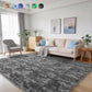 Cozydesg 4ftx6ft Large Area Rugs,Shag Fluffy Rugs for Living Room Bedroom, Modern Indoor Floor Rugs Soft Carpet Home Decro,Light Blue