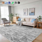 Cozydesg 4ftx6ft Large Area Rugs,Shag Fluffy Rugs for Living Room Bedroom, Modern Indoor Floor Rugs Soft Carpet Home Decro,Light Blue