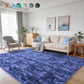 Cozydesg 4ftx6ft Large Area Rugs,Shag Fluffy Rugs for Living Room Bedroom, Modern Indoor Floor Rugs Soft Carpet Home Decro,Light Blue