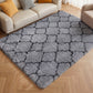 CozyDesg Soft Area Rugs for Living Room Bedroom,4ftx6ft Large Rug Fluffy Fuzzy Shag Shaggy Soft Plush Carpet,Black & Gold