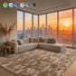 Cozydesg 4ftx6ft Large Area Rugs,Shag Fluffy Rugs for Living Room Bedroom, Modern Indoor Floor Rugs Soft Carpet Home Decro,Light Blue