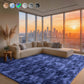 Cozydesg 4ftx6ft Large Area Rugs,Shag Fluffy Rugs for Living Room Bedroom, Modern Indoor Floor Rugs Soft Carpet Home Decro,Light Blue