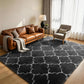 CozyDesg Soft Area Rugs for Living Room Bedroom,4ftx6ft Large Rug Fluffy Fuzzy Shag Shaggy Soft Plush Carpet,Black & Gold