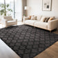 CozyDesg Area Rugs for Living Room，Black Rugs Shag Fluffy Shaggy Bedside Carpet, Large rug for Living Room Bedroom Dining Room Office Home Decor