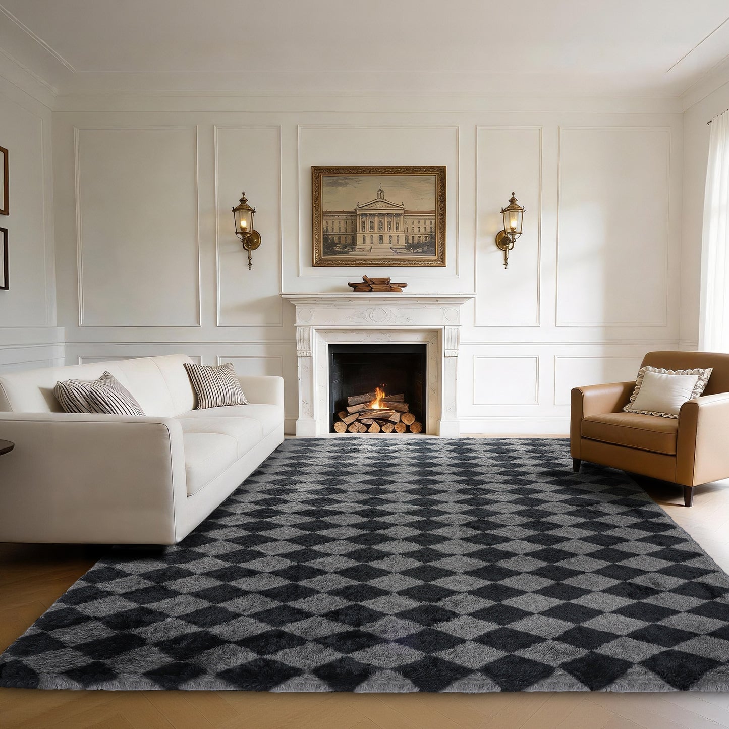CozyDesg Large Rugs,4'x6' Soft Fluffy Shag Indoor Floor Carpet for Living Room Bedroom Dining Room Office Home Decor,Dark Gray & White