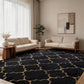 CozyDesg Soft Area Rugs for Living Room Bedroom,4ftx6ft Large Rug Fluffy Fuzzy Shag Shaggy Soft Plush Carpet,Black & Gold