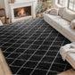 CozyDesg Shag Area Rugs,4'x6' Soft Fluffy Shaggy Carpet for Living Room,Large Rug for Bedroom Dining Room Home Decor Room Decor,Black & White