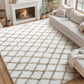 CozyDesg Shag Area Rugs,4'x6' Soft Fluffy Shaggy Carpet for Living Room,Large Rug for Bedroom Dining Room Home Decor Room Decor,Black & White