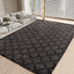 CozyDesg Area Rugs for Living Room，Black Rugs Shag Fluffy Shaggy Bedside Carpet, Large rug for Living Room Bedroom Dining Room Office Home Decor