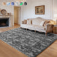 Cozydesg 4ftx6ft Large Area Rugs,Shag Fluffy Rugs for Living Room Bedroom, Modern Indoor Floor Rugs Soft Carpet Home Decro,Light Blue
