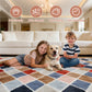 CozyDesg 4ftx6ft Area Rugs,Shag Fluffy Checkered Rugs for Living Room,Bedroom,Modern Room Decor Carpet, Non-Slip Floor Rug,ColorfulA