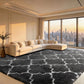 CozyDesg Soft Area Rugs for Living Room Bedroom,4ftx6ft Large Rug Fluffy Fuzzy Shag Shaggy Soft Plush Carpet,Black & Gold