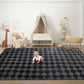 CozyDesg Large Rugs,4'x6' Soft Fluffy Shag Indoor Floor Carpet for Living Room Bedroom Dining Room Office Home Decor,Dark Gray & White