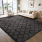 CozyDesg Area Rugs for Living Room，Black Rugs Shag Fluffy Shaggy Bedside Carpet, Large rug for Living Room Bedroom Dining Room Office Home Decor